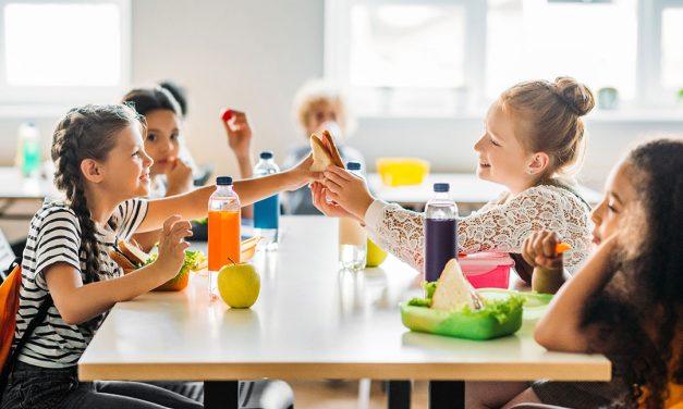 ¿Cómo ser monitor de comedor escolar? funciones y responsabilidades