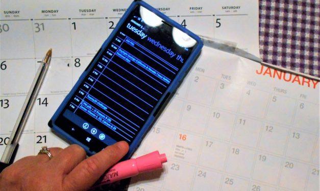 Calendario anual de actividades