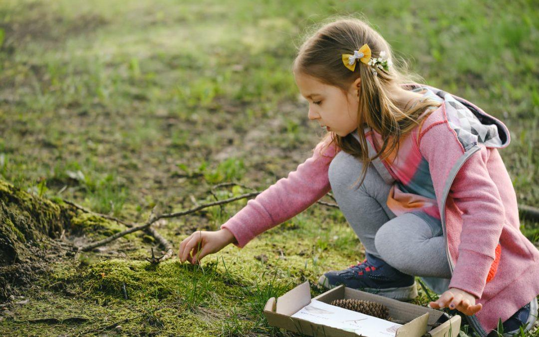 Plantilla de Evaluación de Actividades