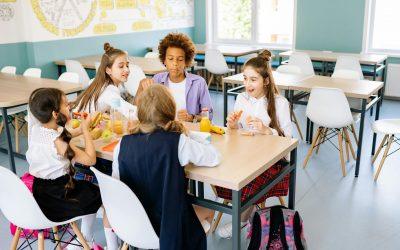 Requisitos para ser monitor de comedor escolar: formación y certificaciones