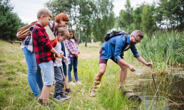 Plantilla de evaluación de participación en proyectos grupales