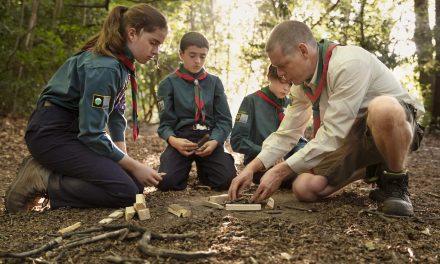Cómo diseñar un campamento educativo y divertido