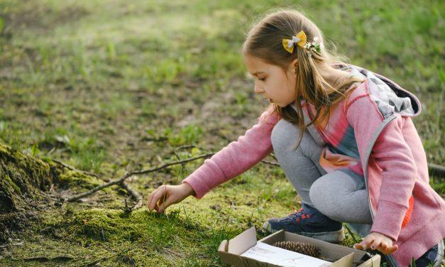 Manual de resolución de emergencias climáticas en actividades al aire libre