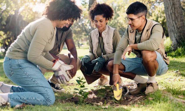 Plantilla de planificación de proyectos comunitarios