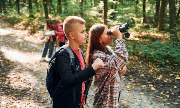 Guía de Supervivencia Básica para Actividades al Aire Libre