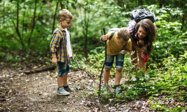Checklist para rutas de senderismo con grupos escolares