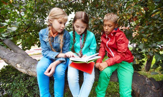 Guía de actividades para fomentar la lectura a través del juego